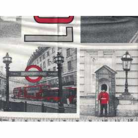 Canvas Imprimé BB 5202-56