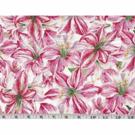 Quilt Cotton 6301-775