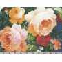Printed Canvas BB 110” 5202-58