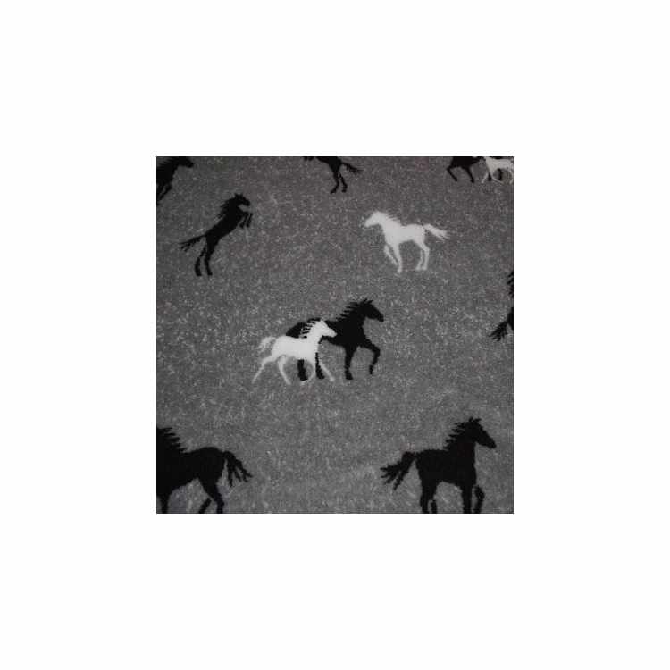 Montegro Poneys Promo