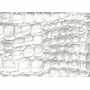 Fourrure Reptile USA 7603