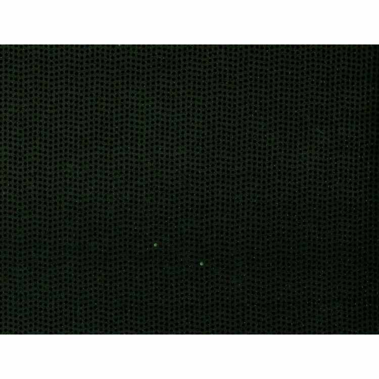 Paillette 2207-01