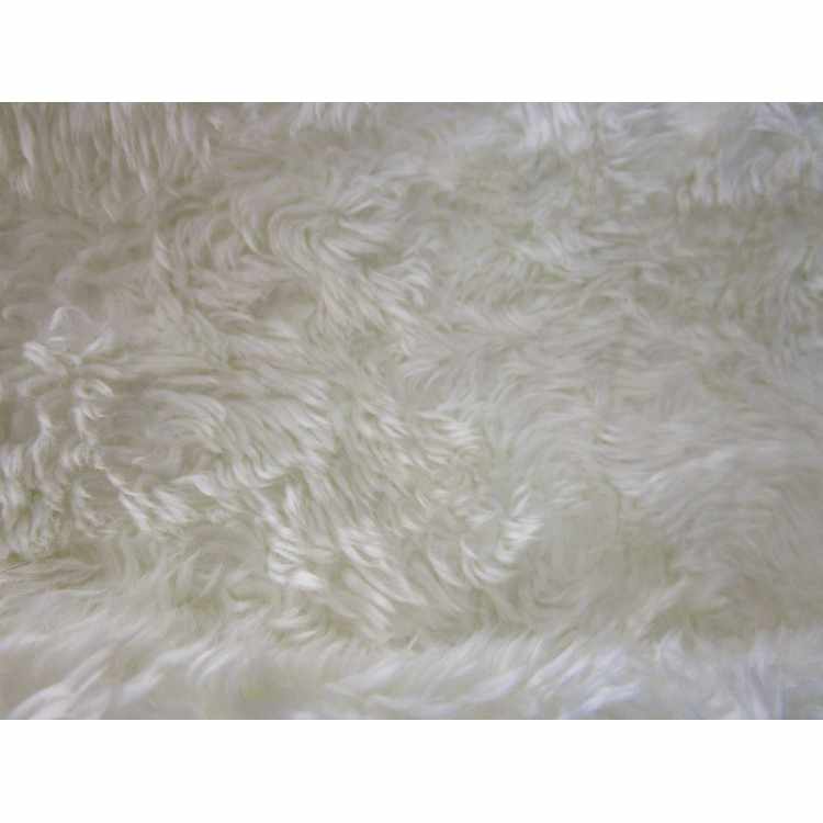 Shaggy Poil Court Caniche 0402-11