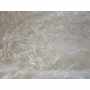 Shaggy Poil Court Caniche 0402-11