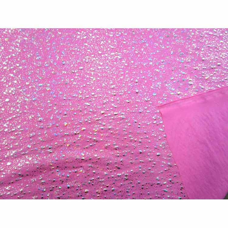 Foil Hologram 6307-12