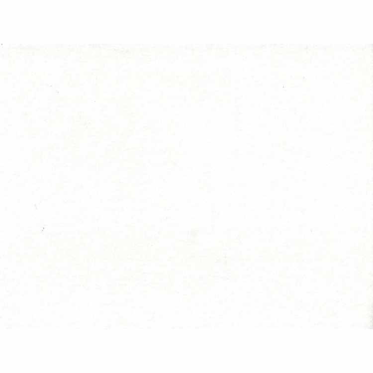 Jersey de Coton Uni 0218-10