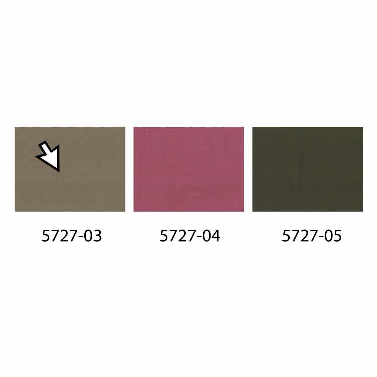 Plain Canvas Duck (12oz) 5727