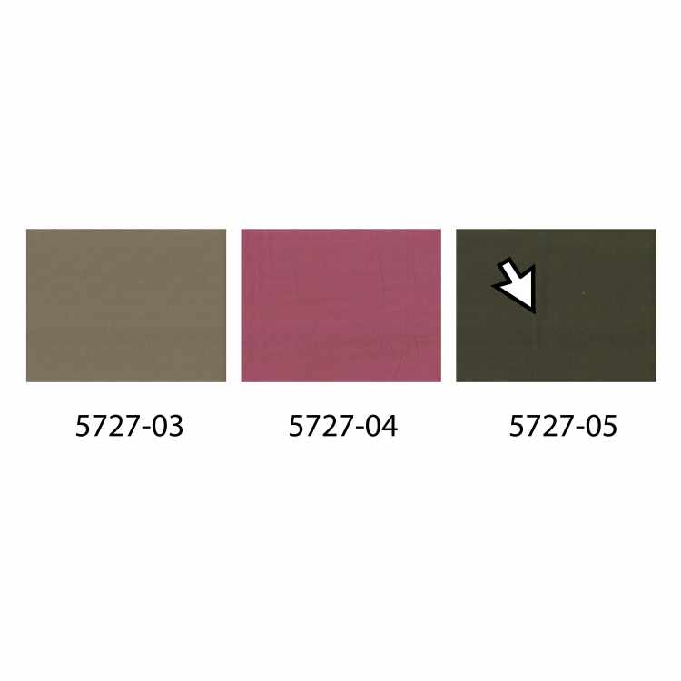 Plain Canvas Duck (12oz) 5727