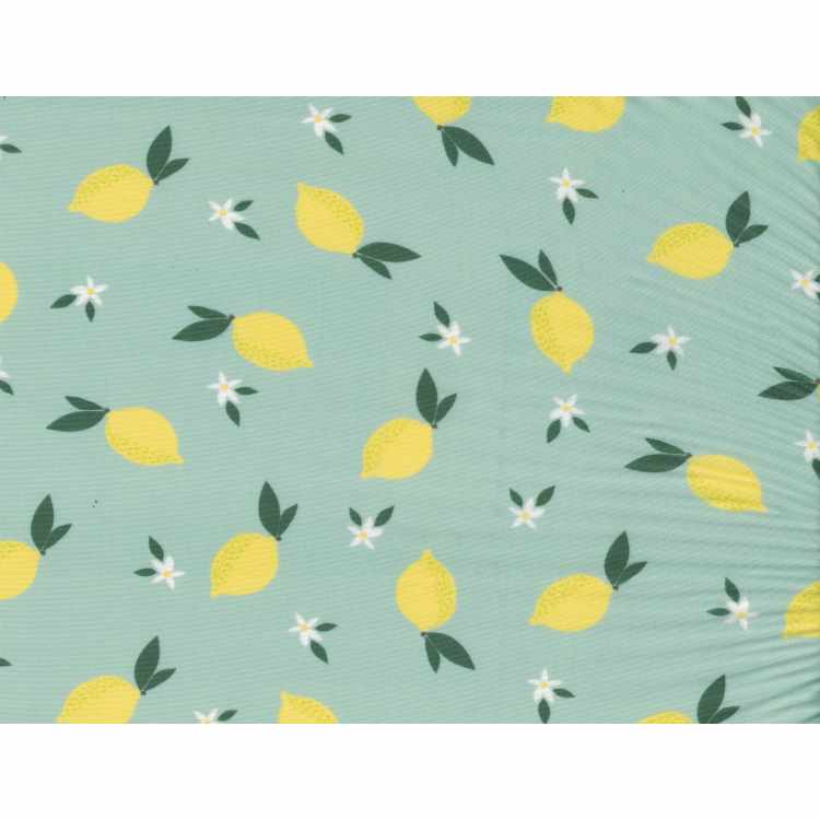 Printed Nylon Spandex 7289-11