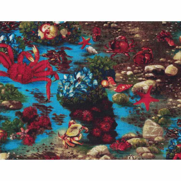 Coton Quilt 9204-14 Fond Marin