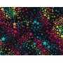 Coton Quilt 9204-66 Étoiles
