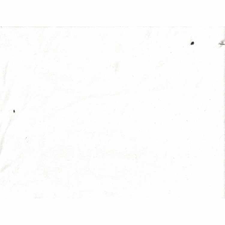 Organic Cotton Spandex Rib 1x1 White