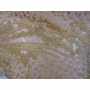 Embroidered Lace Star 1758-3