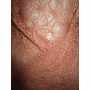 Dentelle Lurex 28117-1