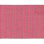 Gingham Vichy Petit 5051-3