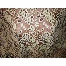 Stretch Lace 28234-2