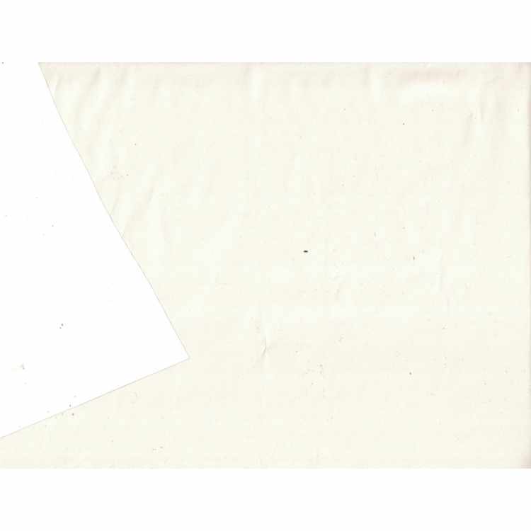 Projection Screen 1617-02