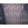 Stretch Lace 3095-02