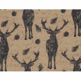 Flanelle Imprimé 4301-4