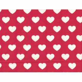 Printed Flannel 4301-21