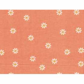 Printed Flannel 4301-27