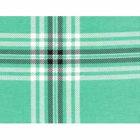 Flanelle Imprimé 4301-30
