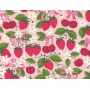 Printed Flannel 4301-80