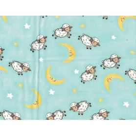 Printed Flannel 4301-107