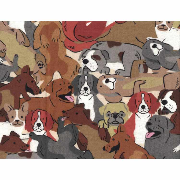 Printed Flannel 4301-119