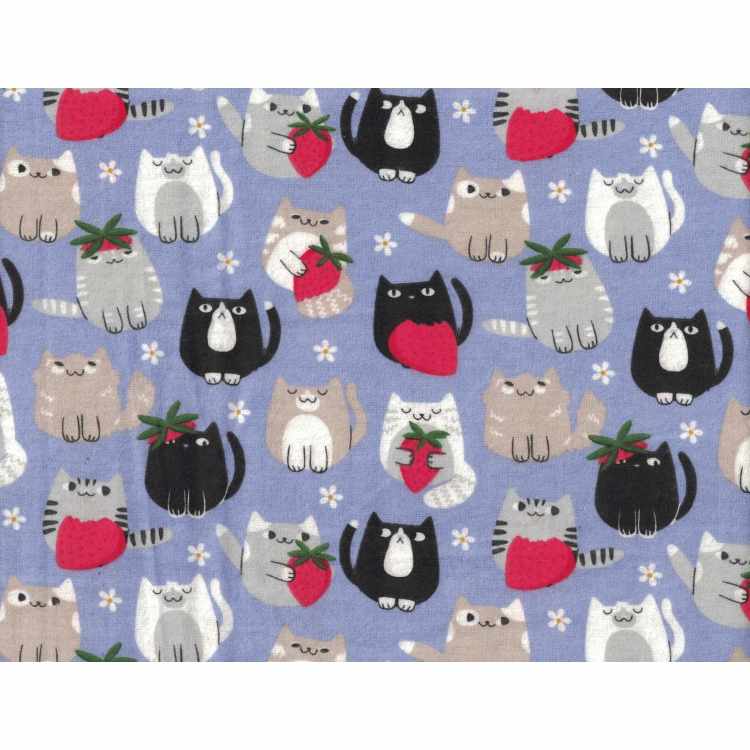 Flanelle Imprimé 4301-126