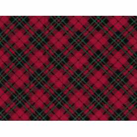 Printed Flannel 4301-131