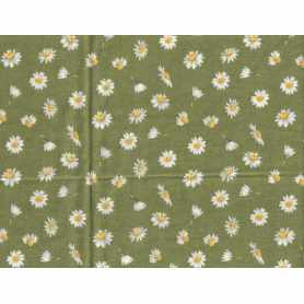 Flanelle Imprimé 4301-146