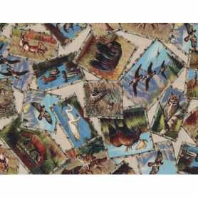 Quilt Cotton 9204-166