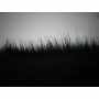 Fausse Fourrure Renard Arctique Noir