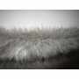 Faux Fur Animal Black & Pale Grey
