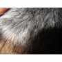 Faux Fur Animal Black & Grey
