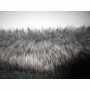 Faux Fur Animal Black & Grey