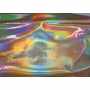 Hologram Vinyl 1614