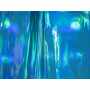 Vinyle Hologramme 1614