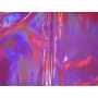 Vinyle Hologramme 1614