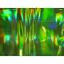 Hologram Vinyl 1614