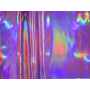 Hologram Vinyl 1614