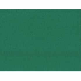 Polaire Coton Biologique 11-11.5 oz Pine Green