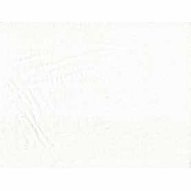Jersey Pré-Lavé Coton Biologique 8-8.5 oz Blanc