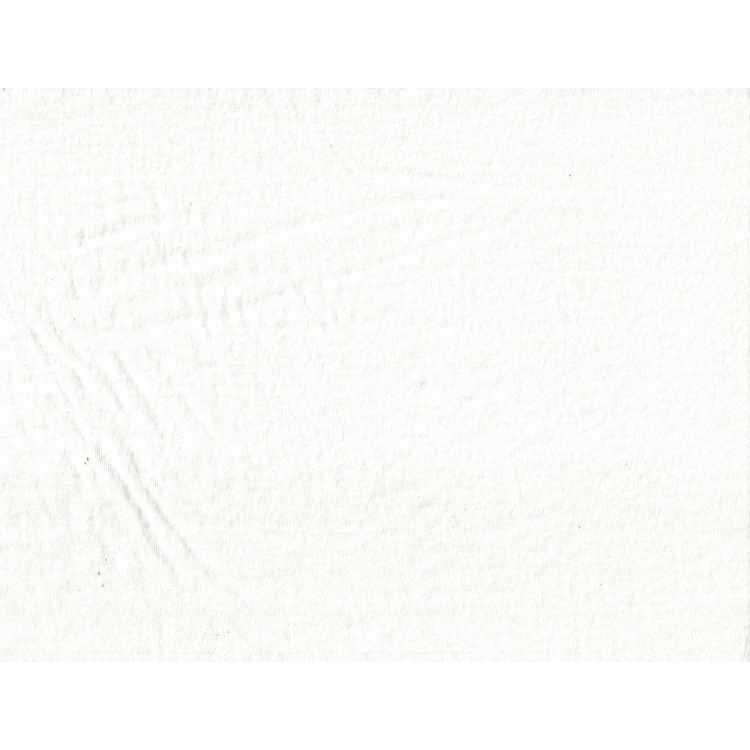 Jersey Pré-Lavé Coton Biologique 8-8.5 oz Blanc