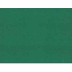 Jersey Pré-Lavé Coton Biologique 8-8.5 oz Pine Green