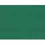 Organic Cotton Fabric Washed Jersey 8-8.5 oz Pine Green
