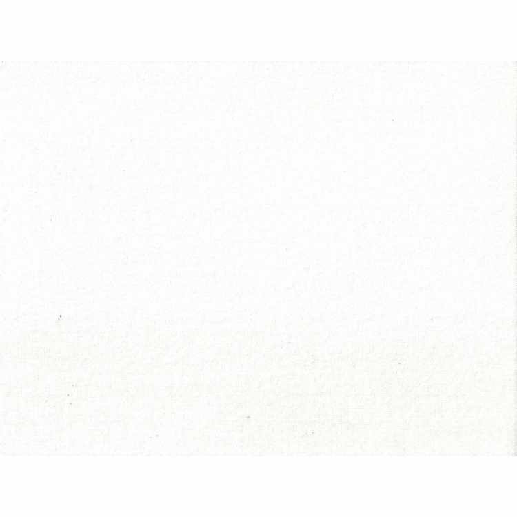 Côtes 1x1 Coton Biologique Spandex 11-11.5 oz Blanc