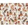 Quilt Cotton 9204-264