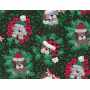 Quilt Cotton 9204-267